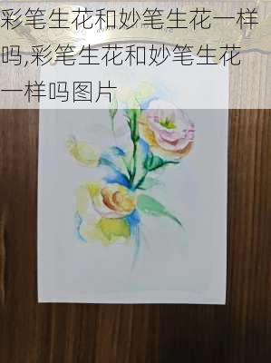 彩笔生花和妙笔生花一样吗,彩笔生花和妙笔生花一样吗图片