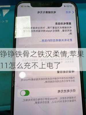 铮铮铁骨之铁汉柔情,苹果11怎么充不上电了
