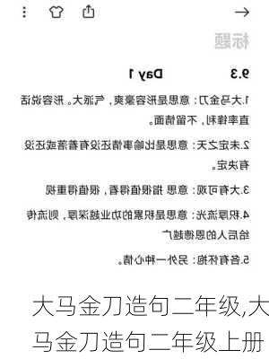 大马金刀造句二年级,大马金刀造句二年级上册