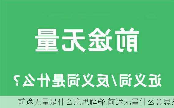 前途无量是什么意思解释,前途无量什么意思?