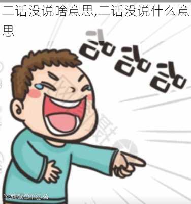 二话没说啥意思,二话没说什么意思