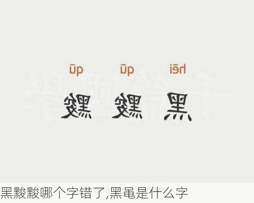 黑黢黢哪个字错了,黑黾是什么字