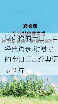 谢谢你的金口玉言经典语录,谢谢你的金口玉言经典语录图片