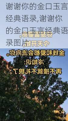 谢谢你的金口玉言经典语录,谢谢你的金口玉言经典语录图片