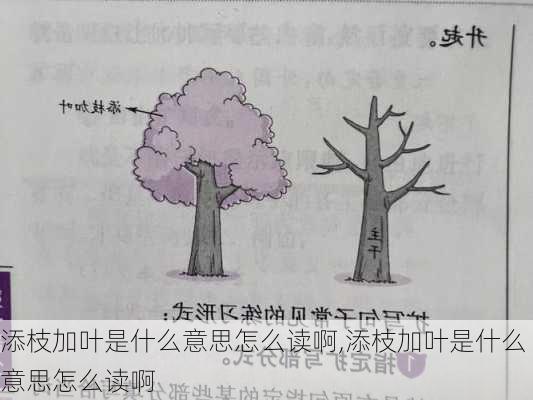 添枝加叶是什么意思怎么读啊,添枝加叶是什么意思怎么读啊