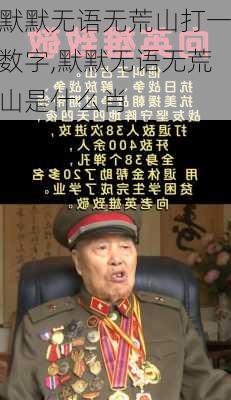 默默无语无荒山打一数字,默默无语无荒山是什么肖