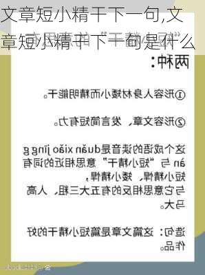 文章短小精干下一句,文章短小精干下一句是什么