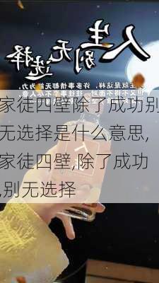 家徒四壁除了成功别无选择是什么意思,家徒四壁,除了成功,别无选择