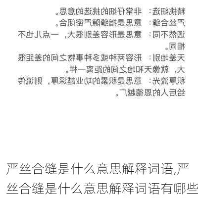 严丝合缝是什么意思解释词语,严丝合缝是什么意思解释词语有哪些