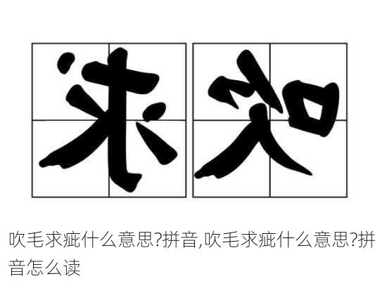 吹毛求疵什么意思?拼音,吹毛求疵什么意思?拼音怎么读