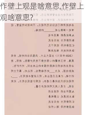 作壁上观是啥意思,作壁上观啥意思?