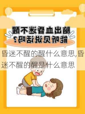 昏迷不醒的醒什么意思,昏迷不醒的醒是什么意思