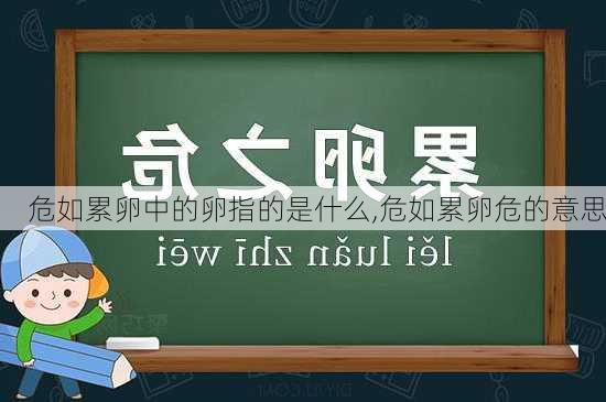 危如累卵中的卵指的是什么,危如累卵危的意思